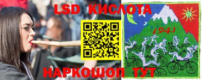 шишки Лесосибирск