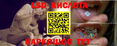 шишки Лесосибирск