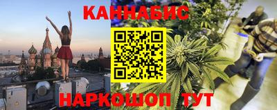 шишки Лесосибирск