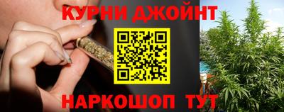 шишки Лесосибирск