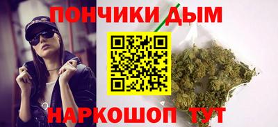 шишки Лесосибирск